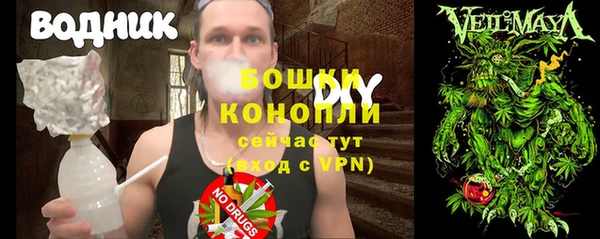 прущие грибы Алексеевка