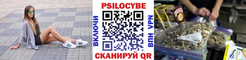 Галлюциногенные грибы Magic Shrooms сколько стоит Ставрополь